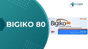 Bigiko 80