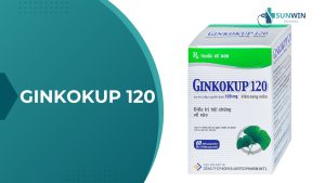 Ginkokup 120