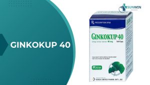 Ginkokup 40