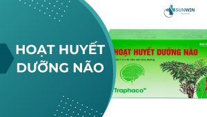 Hoạt Huyết Dưỡng Não